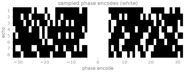 sampled phase encodes (white)