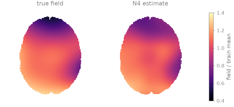 true field, N4 estimate