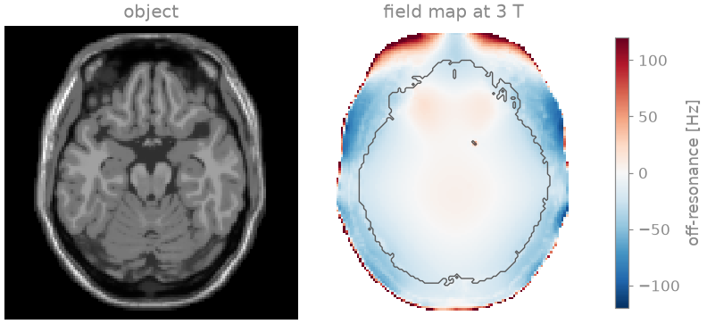 object, field map at 3 T