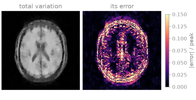 total variation, its error