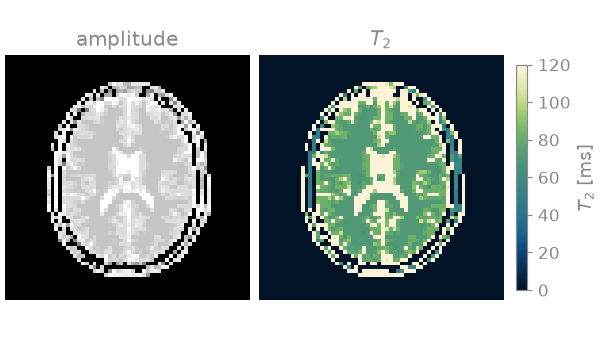 amplitude, $T_2$