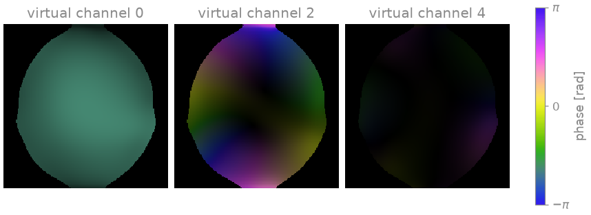 virtual channel 0, virtual channel 2, virtual channel 4