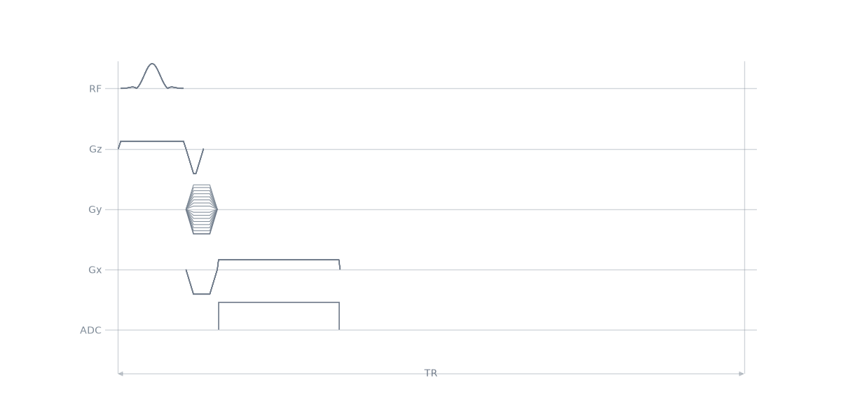 03 gradient echo