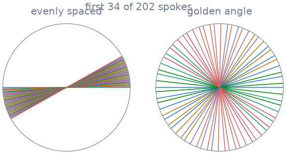 first 34 of 202 spokes, evenly spaced, golden angle