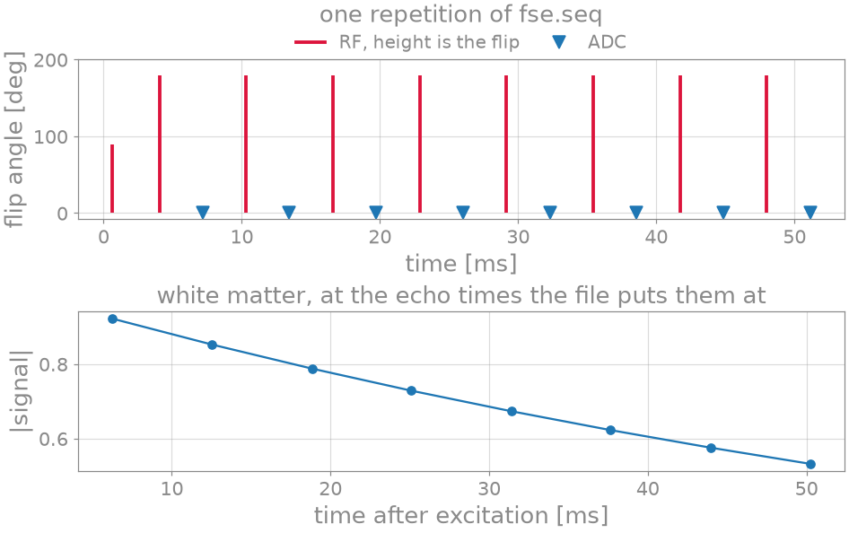 one repetition of fse.seq, white matter, at the echo times the file puts them at