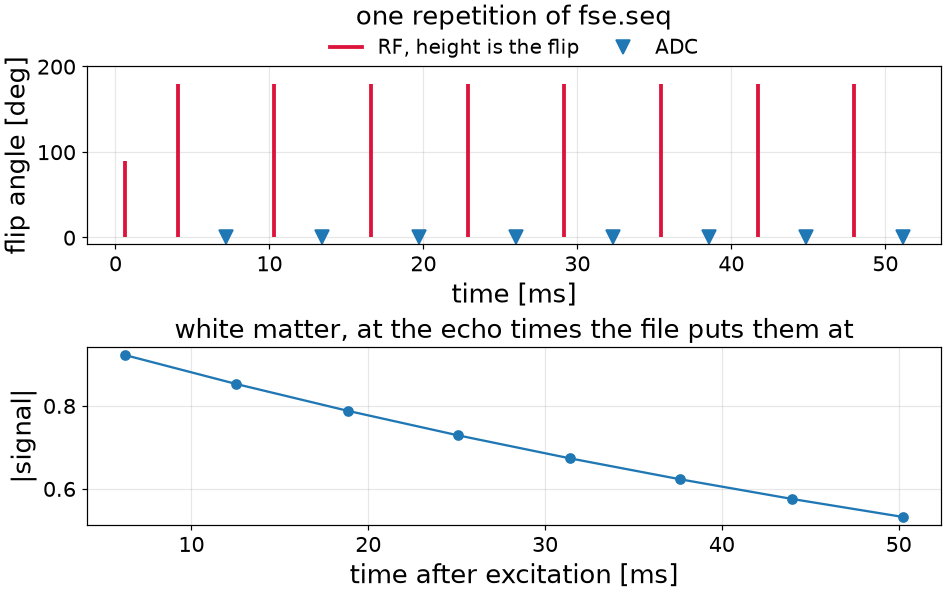 one repetition of fse.seq, white matter, at the echo times the file puts them at